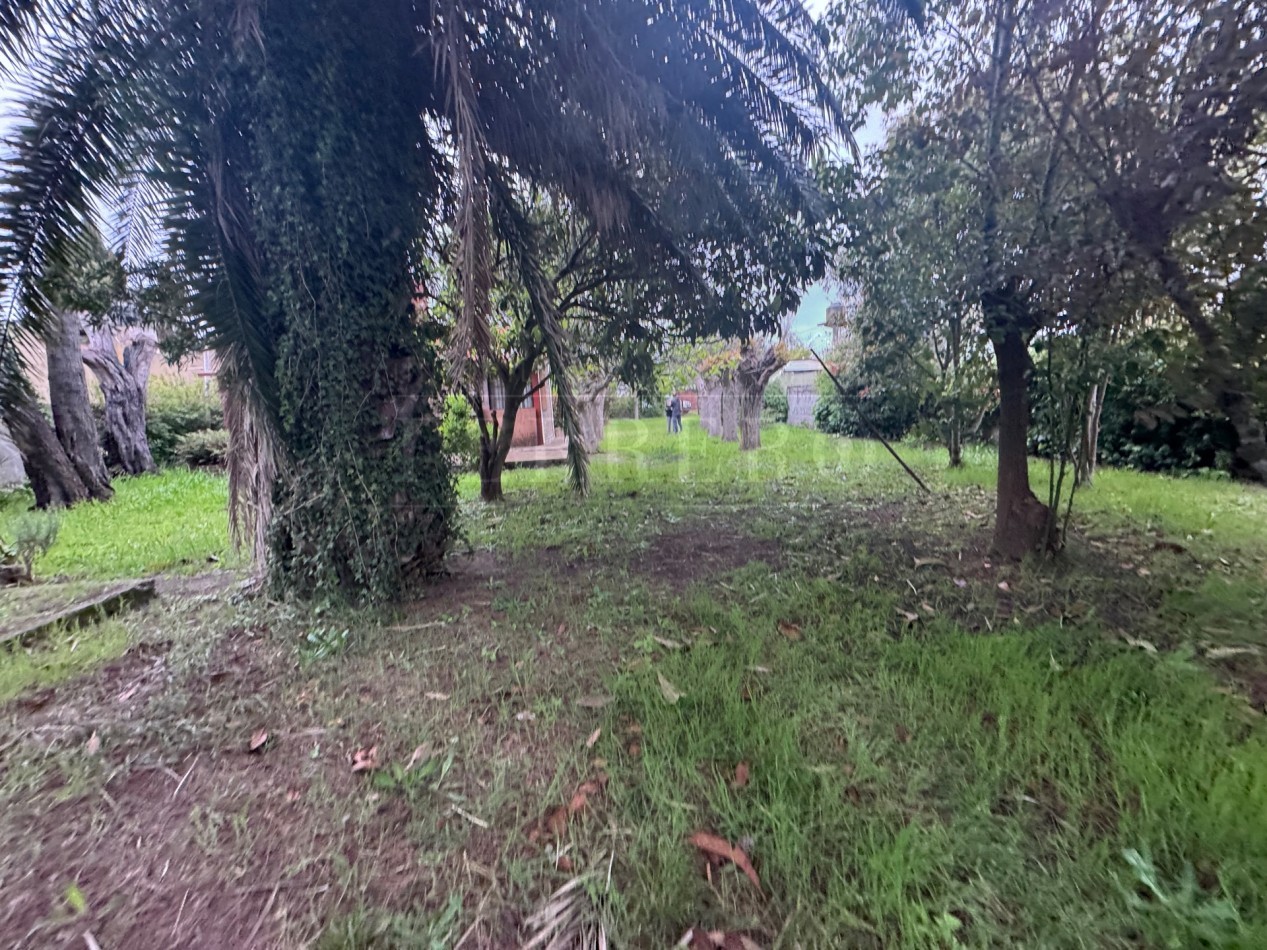 Propiedad Multifuncional con Tres Espacios Habitables y Gran Lote de 1.100m2