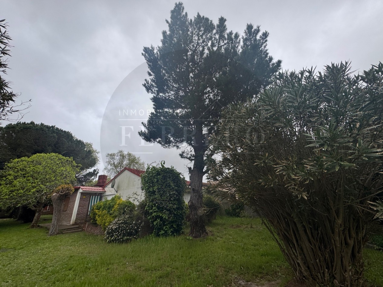 Propiedad Multifuncional con Tres Espacios Habitables y Gran Lote de 1.100m2