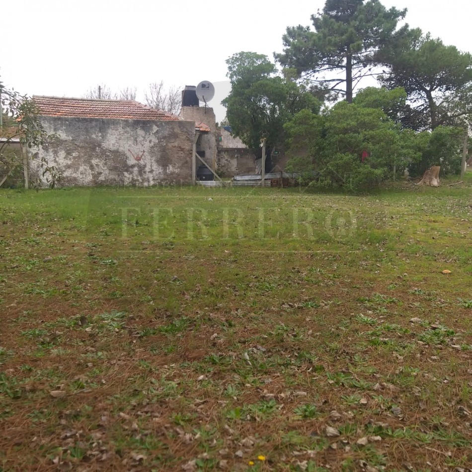 Lote 800M2 Playa norte Av IX y 47 