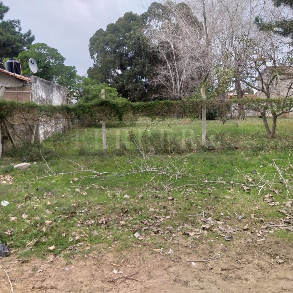 Lote 800M2 Playa norte Av IX y 47 