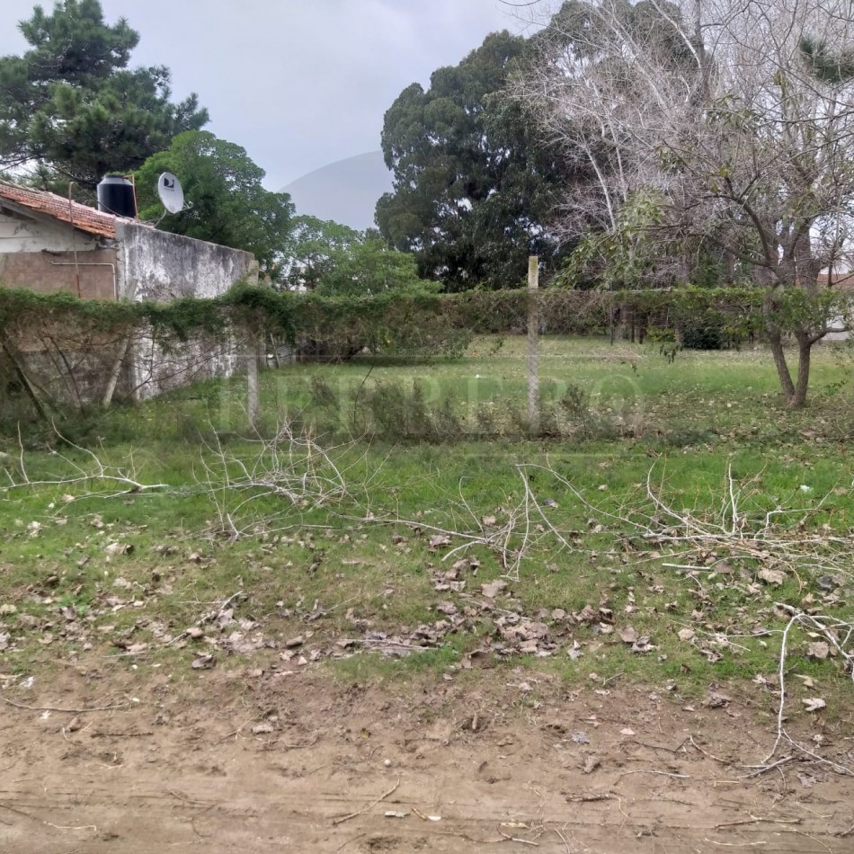 Lote 800M2 Playa norte Av IX y 47 
