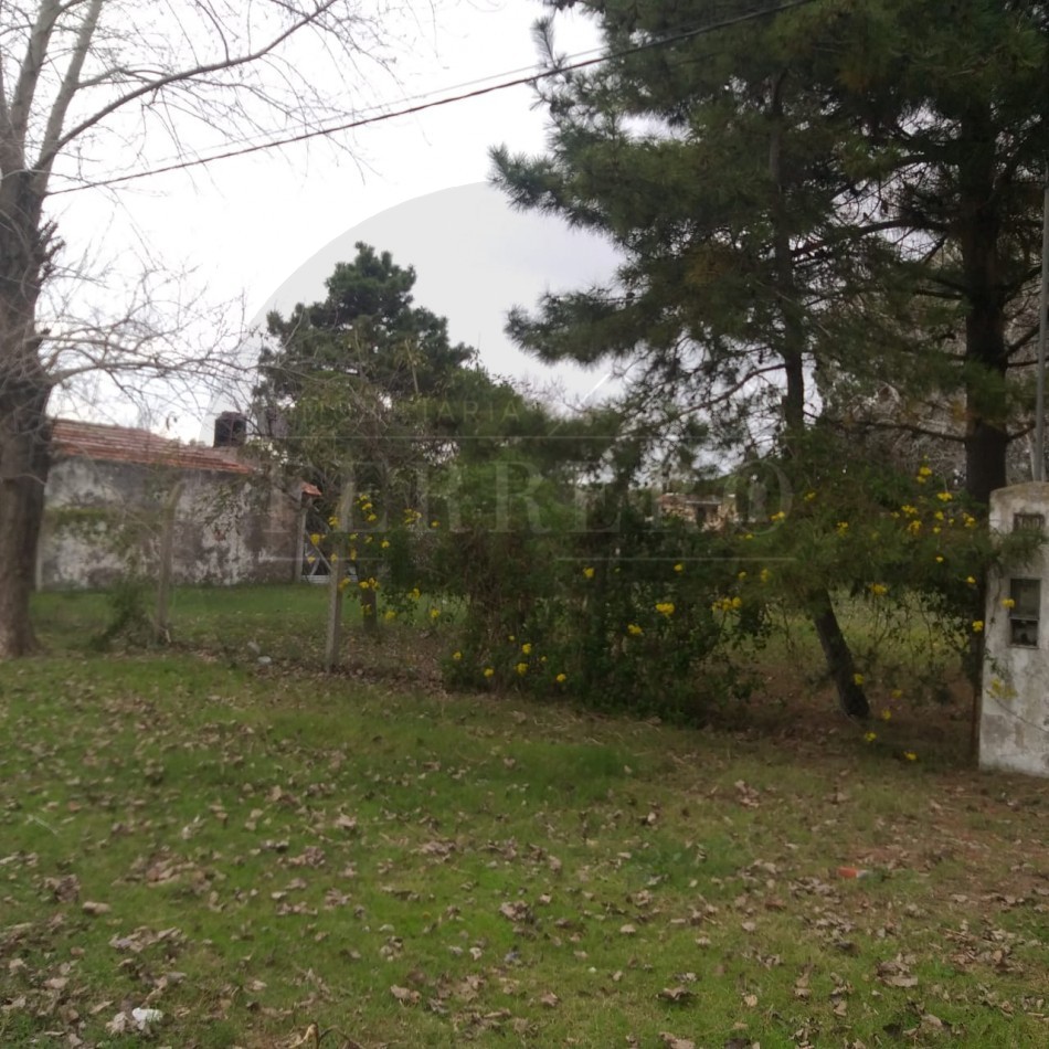 Lote 800M2 Playa norte Av IX y 47 
