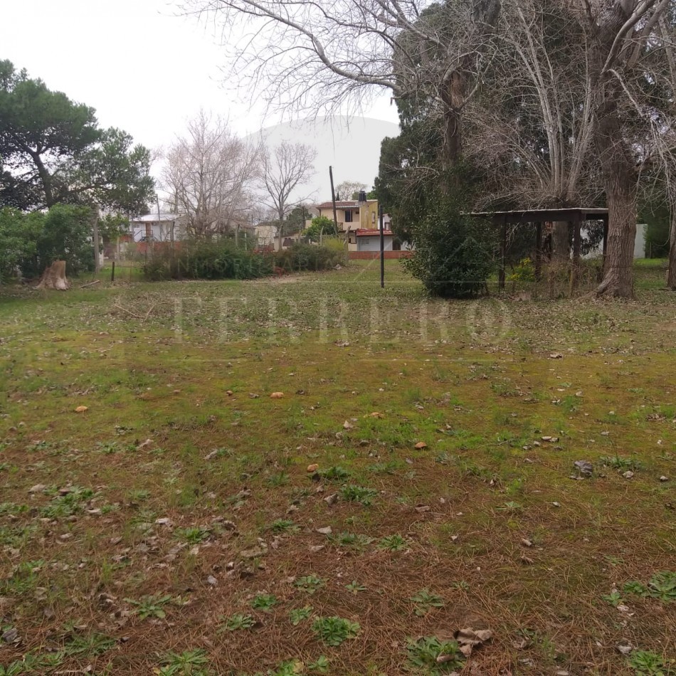 Lote 800M2 Playa norte Av IX y 47 