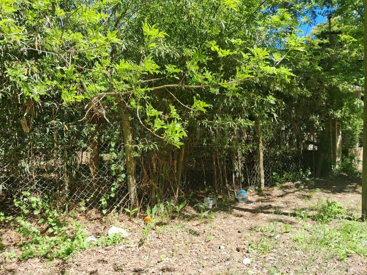 Lote en zona norte 310M2