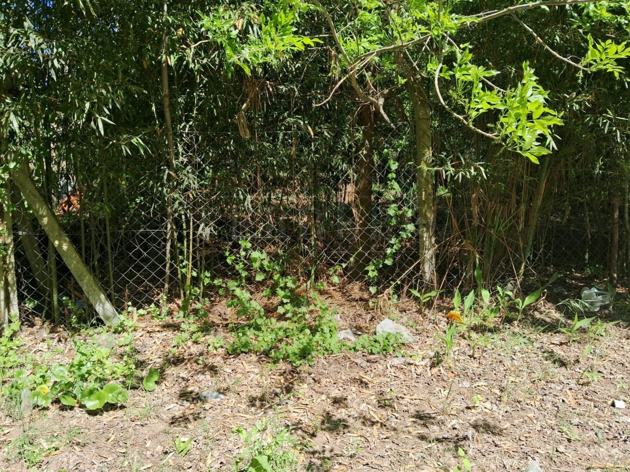 Lote en zona norte 310M2