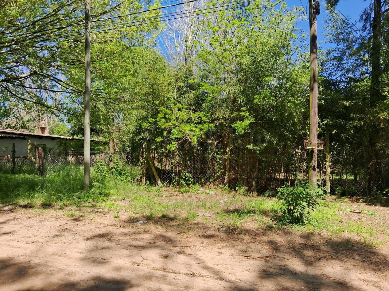 Lote en zona norte 310M2
