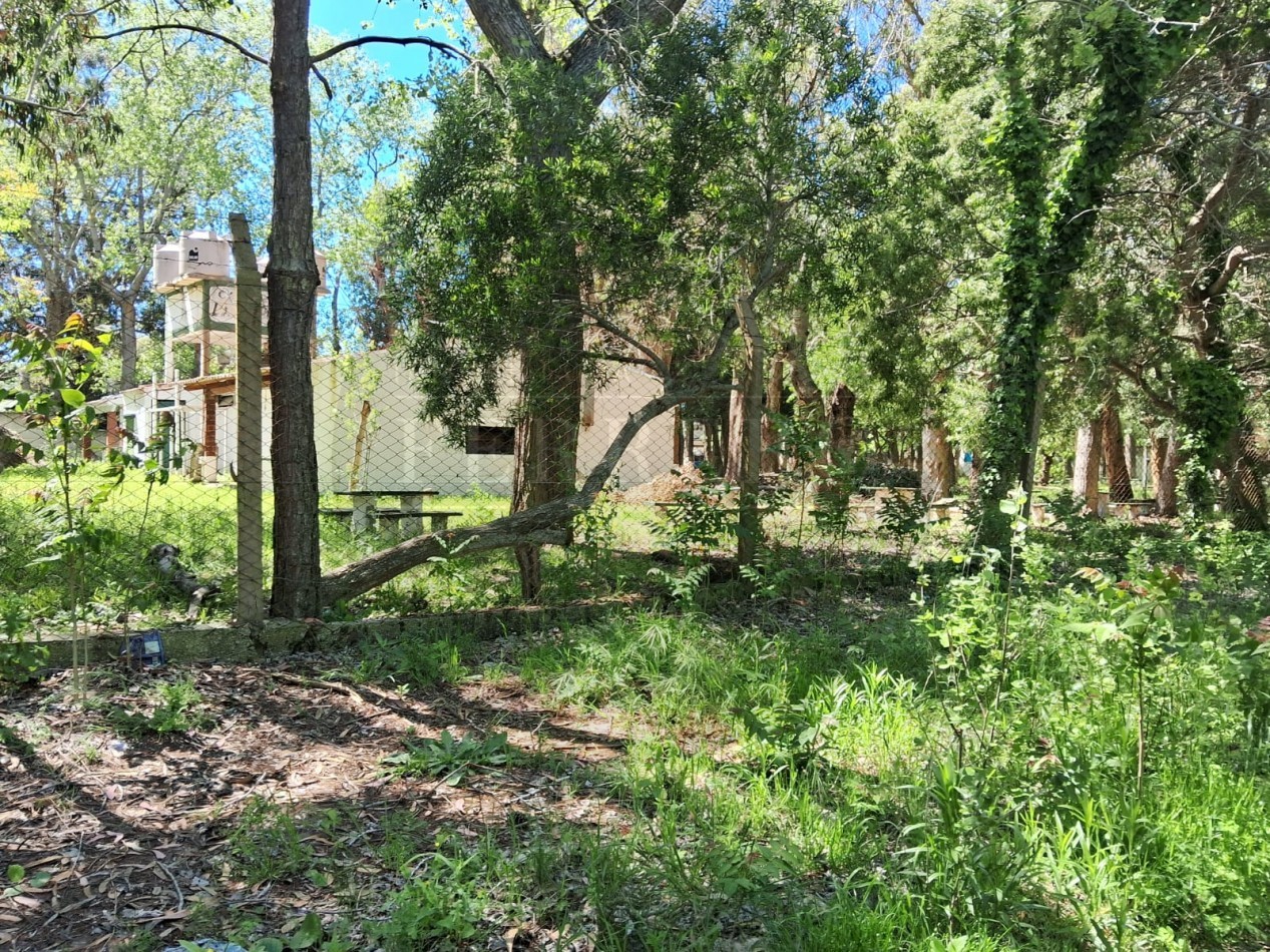Lote en zona norte 310M2