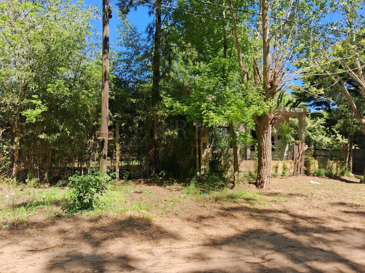 Lote en zona norte 310M2