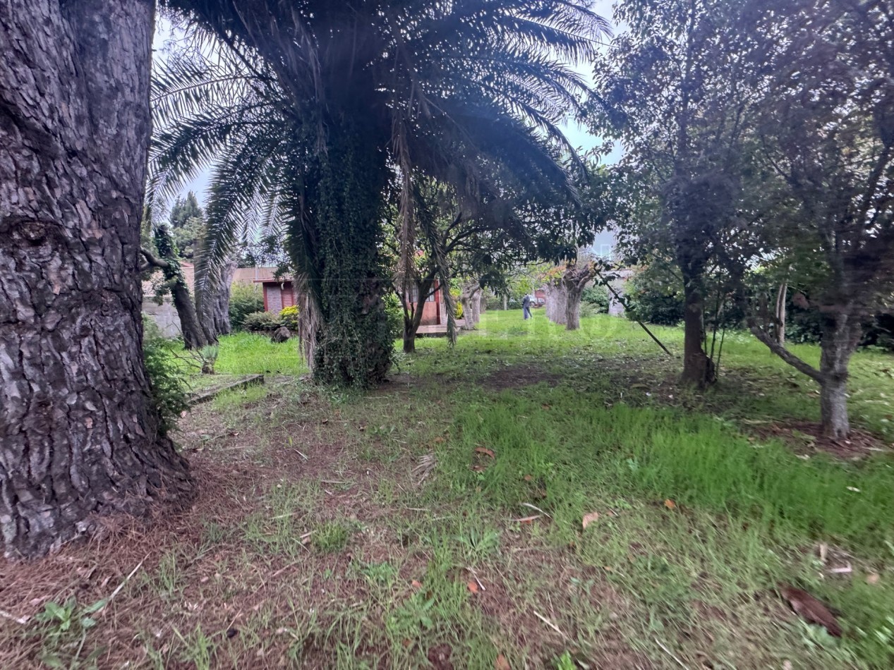 Propiedad Multifuncional con Tres Espacios Habitables y Gran Lote de 1.100m2