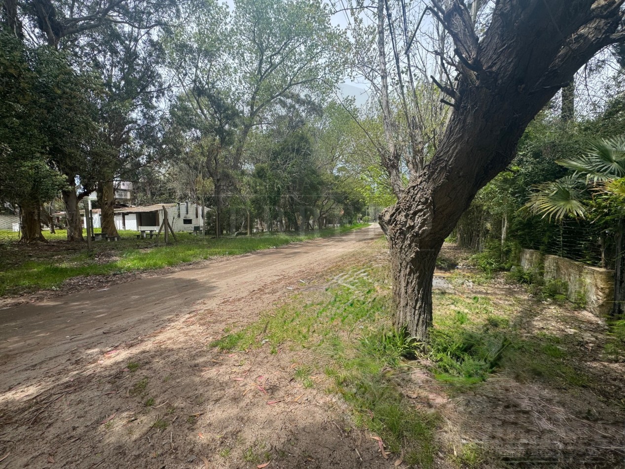 Oportunidad casa 3 Amb a revalorizar 