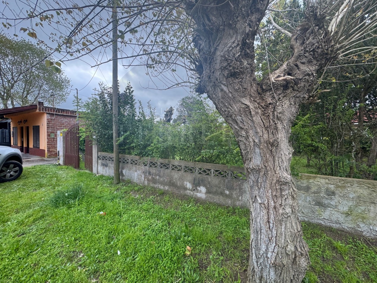 Propiedad Multifuncional con Tres Espacios Habitables y Gran Lote de 1.100m2