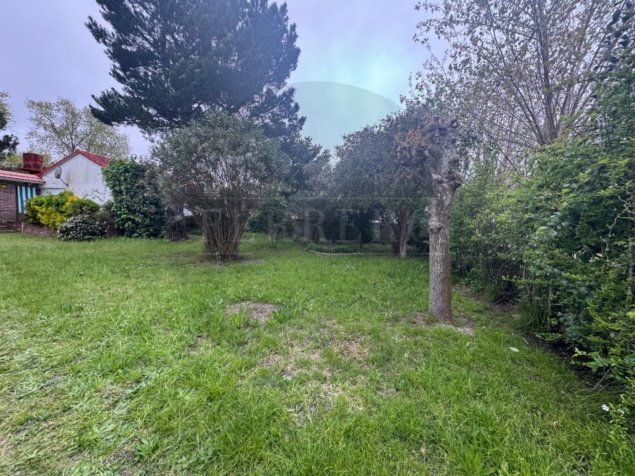 Propiedad Multifuncional con Tres Espacios Habitables y Gran Lote de 1.100m2
