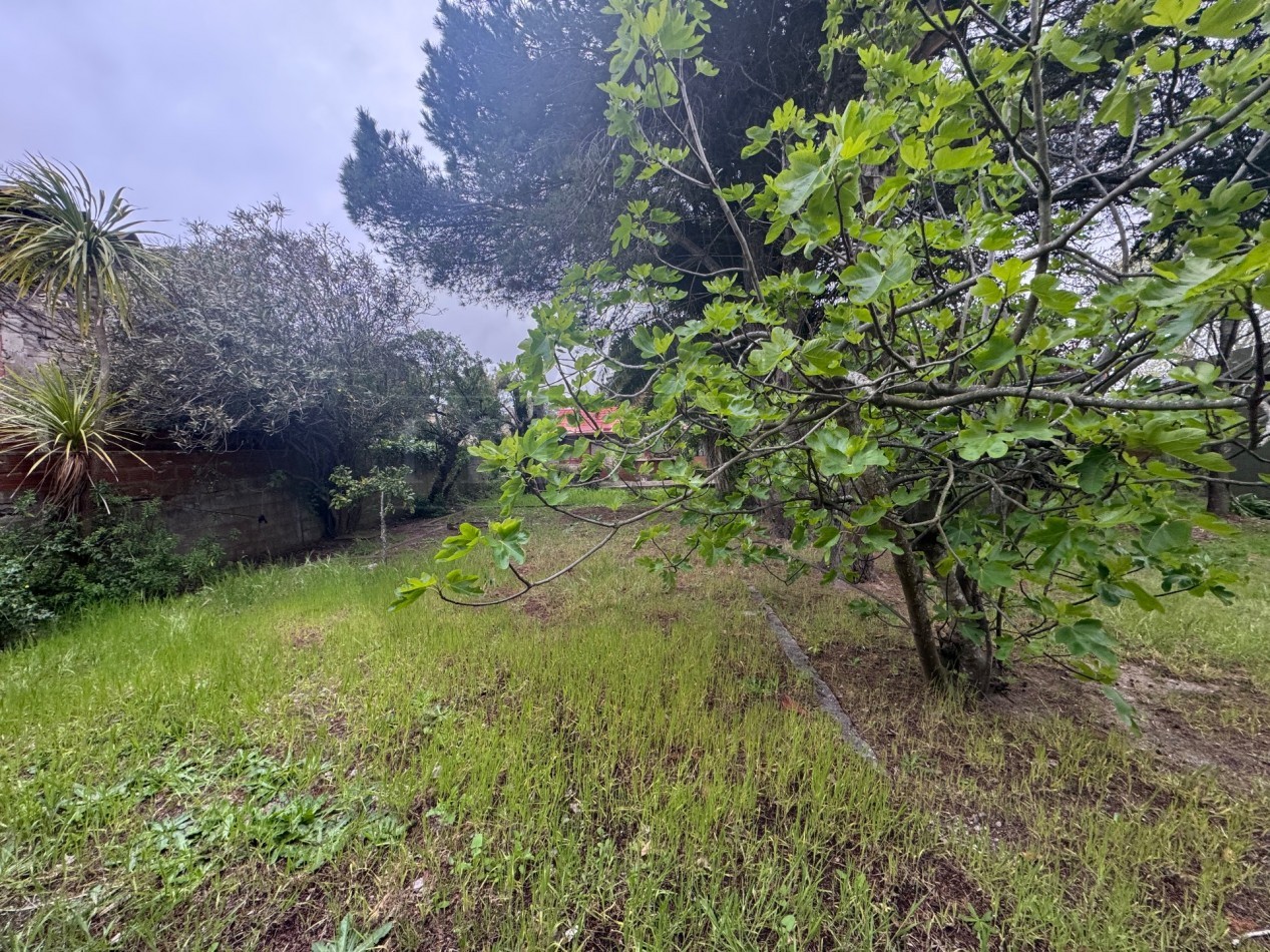 Propiedad Multifuncional con Tres Espacios Habitables y Gran Lote de 1.100m2