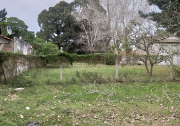 Lote 800M2 Playa norte Av IX y 47 