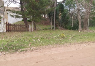 Lote 800 M2 con gran casa al fondo Zona Norte 