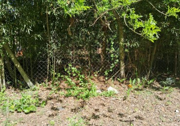 Lote en zona norte 310M2