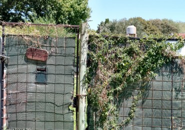 Gran Lote con mejoras centrico 