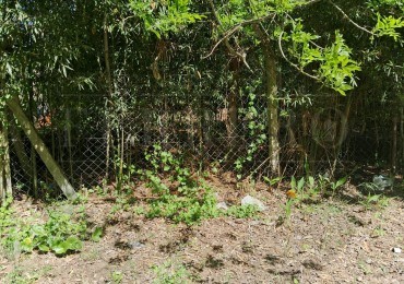 Lote en zona norte 310M2