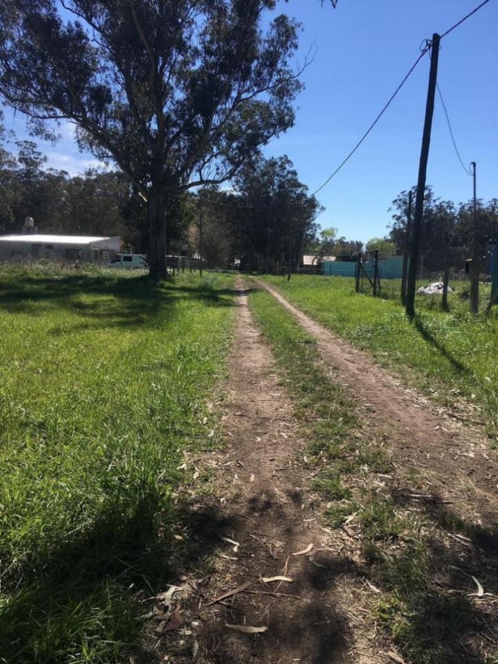 TERRENO EN CAMET NORTE