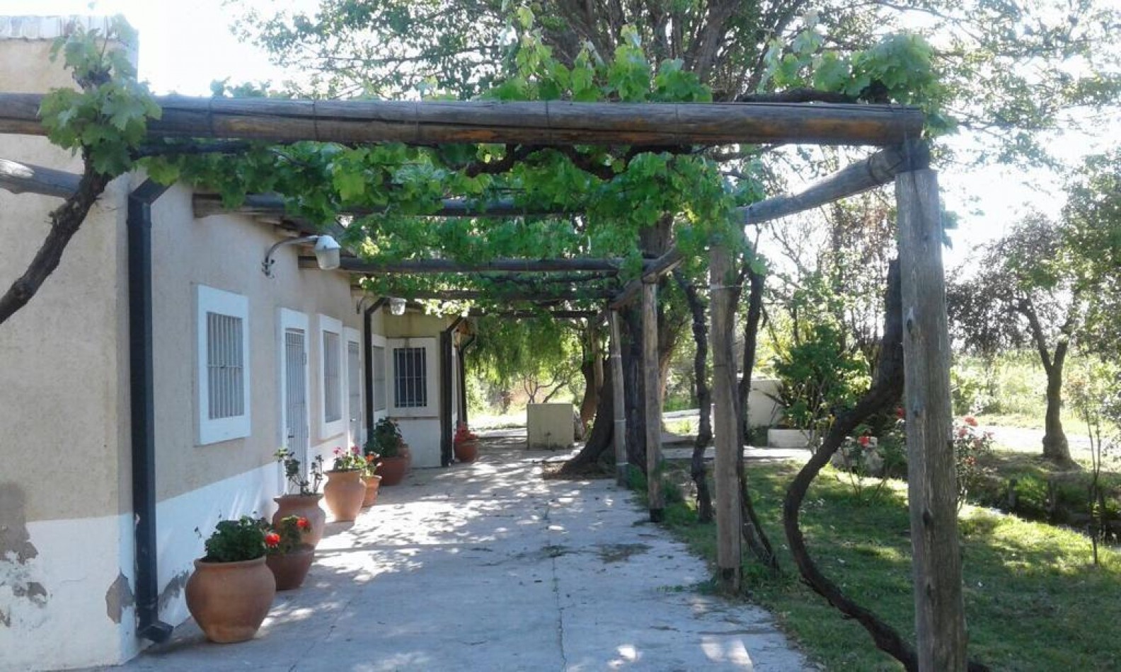 HERMOSA FINCA DE 4,7 HECTAREAS CON CASAS