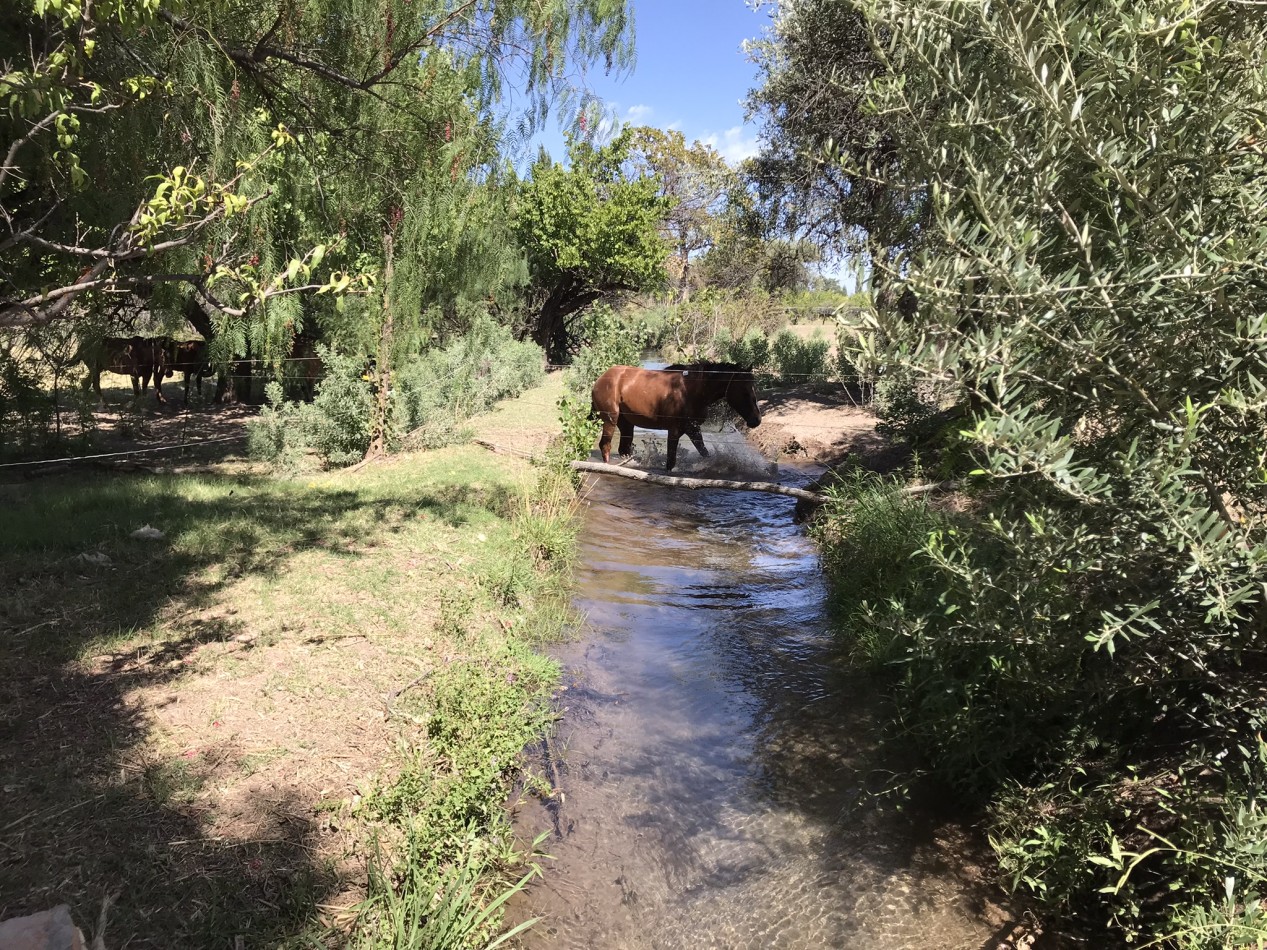 HERMOSA FINCA DE 4,7 HECTAREAS CON CASAS