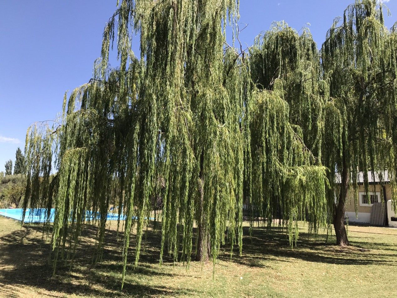 HERMOSA FINCA DE 4,7 HECTAREAS CON CASAS