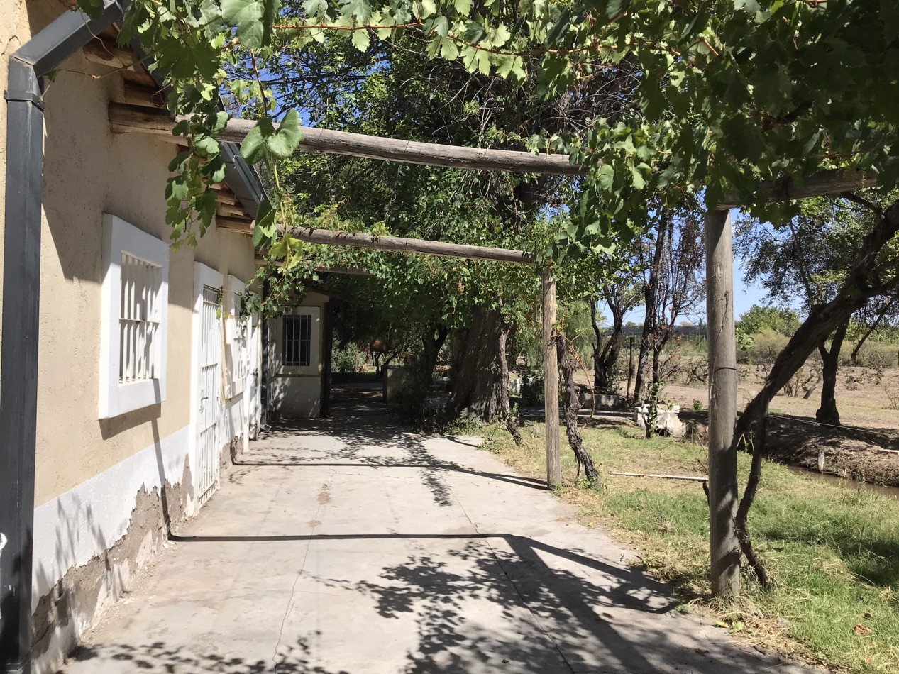 HERMOSA FINCA DE 4,7 HECTAREAS CON CASAS