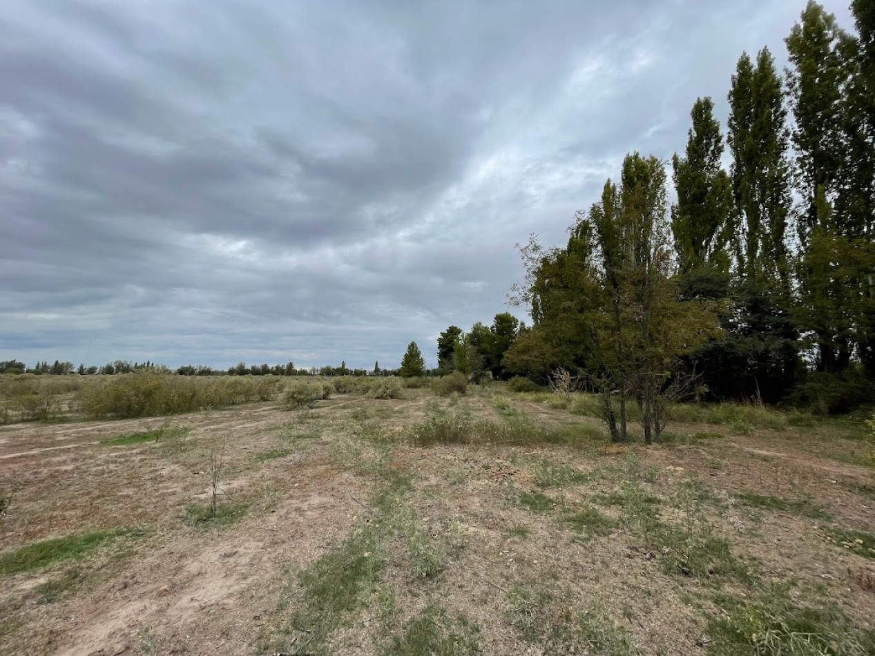 FINCA DE 10 HECTAREAS SIN PLANTACIONES