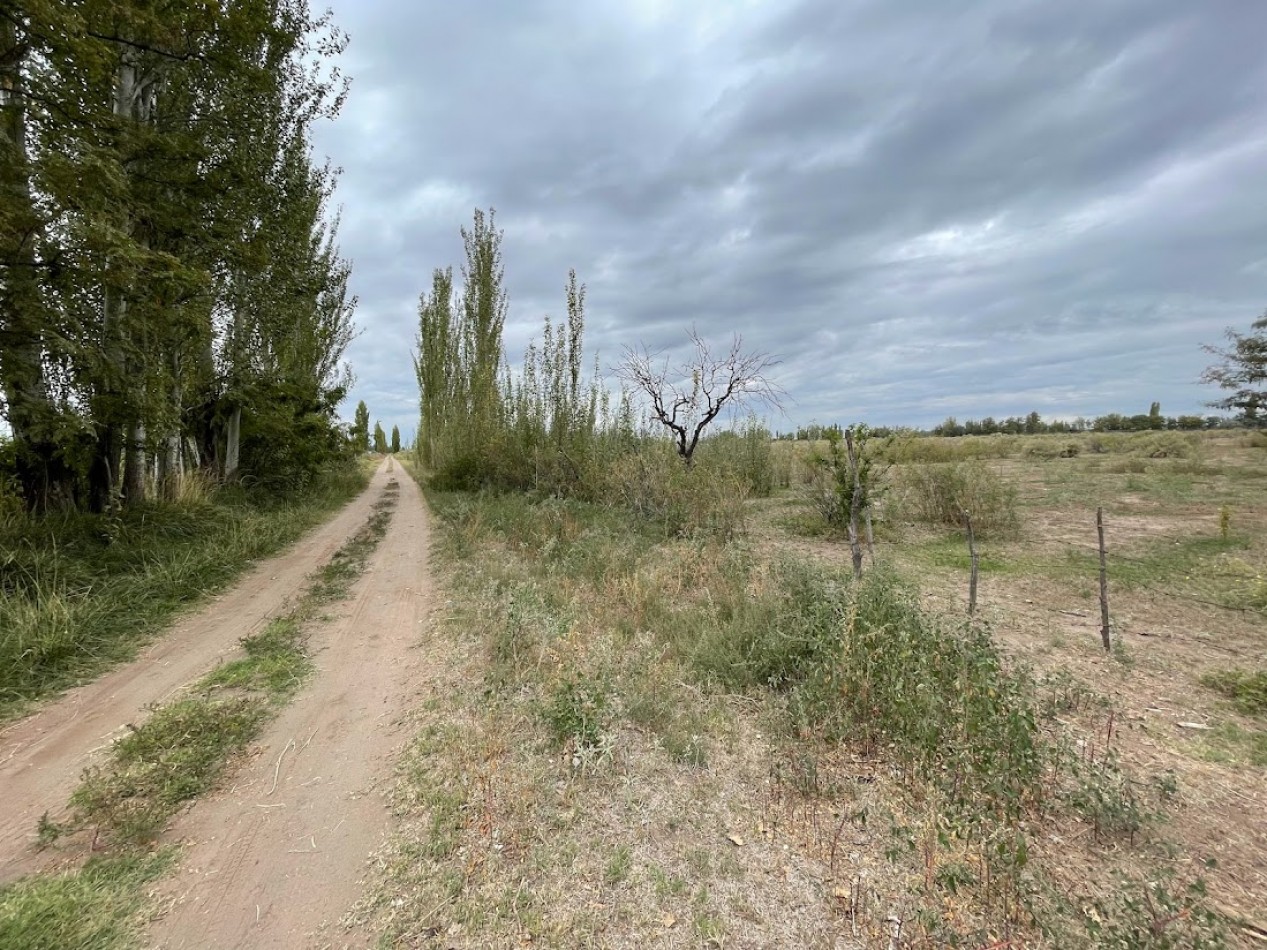 FINCA DE 10 HECTAREAS SIN PLANTACIONES