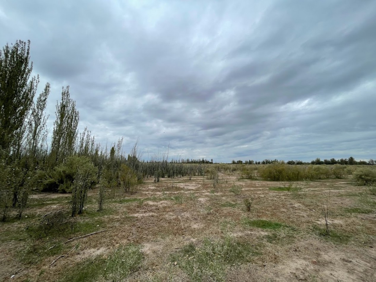 FINCA DE 10 HECTAREAS SIN PLANTACIONES