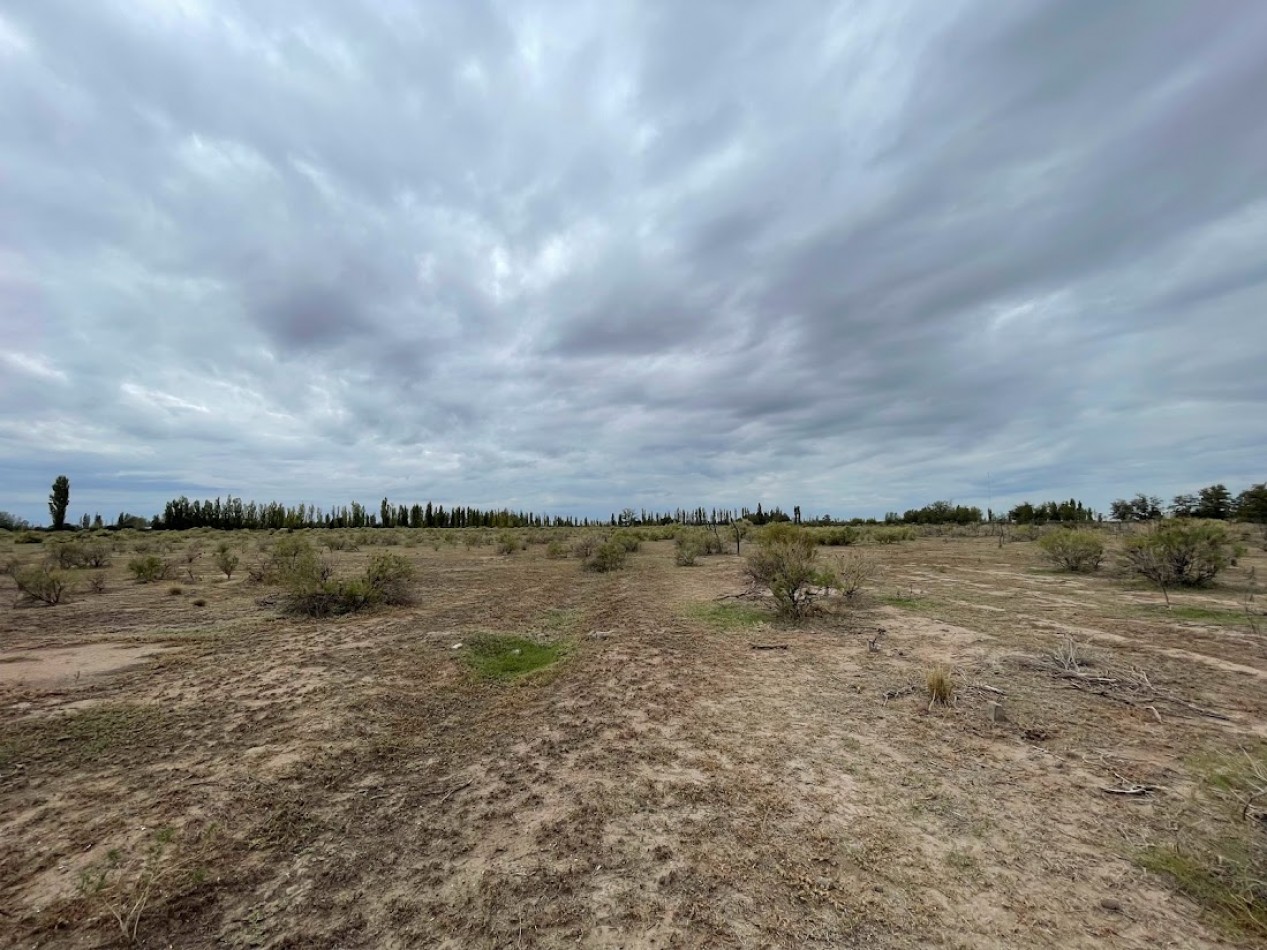 FINCA DE 10 HECTAREAS SIN PLANTACIONES