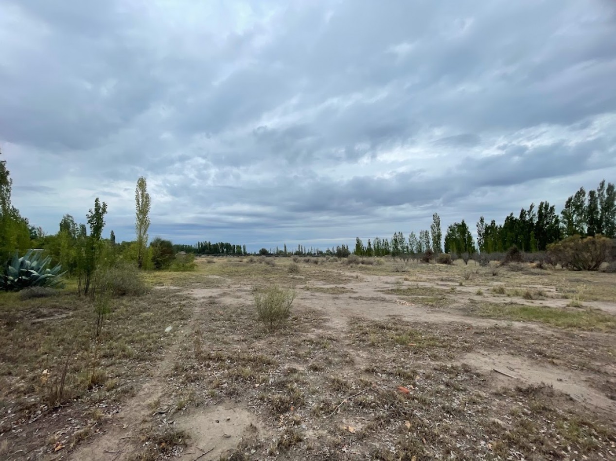 TERRENO DE CASI 1 HECTAREA A METROS DEL CAMINO TURISTICO DEL VINO.