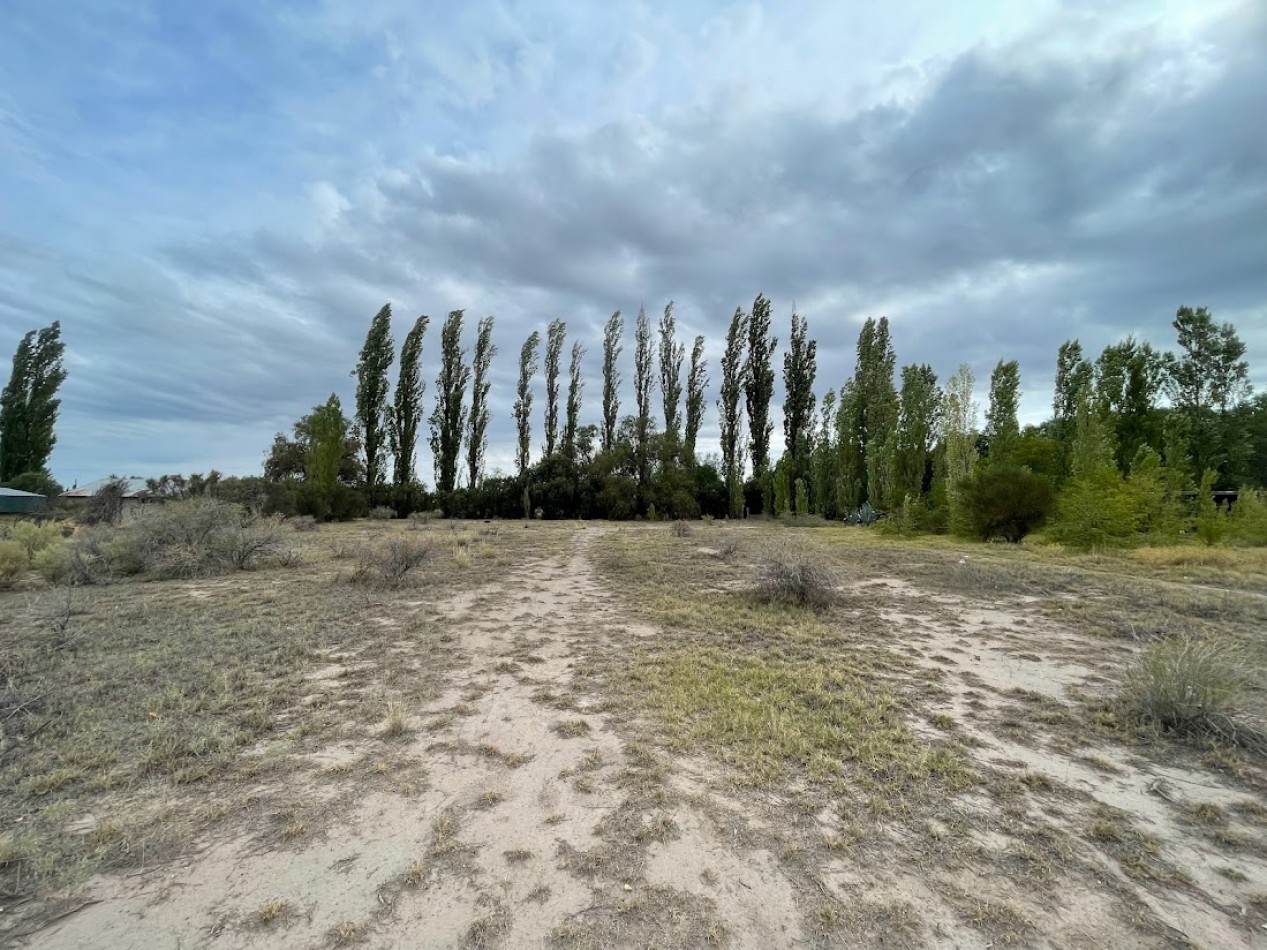 TERRENO DE CASI 1 HECTAREA A METROS DEL CAMINO TURISTICO DEL VINO.