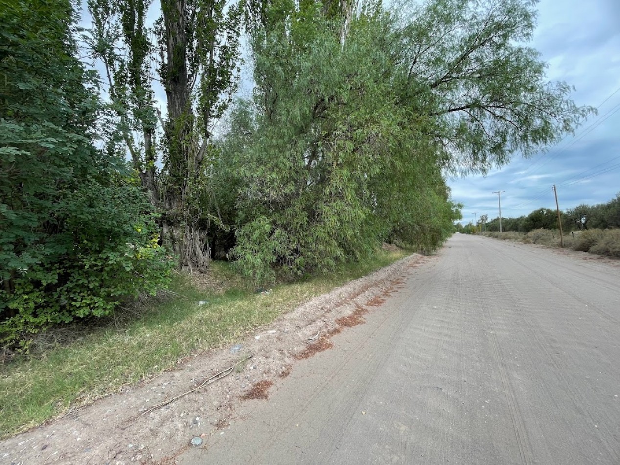 TERRENO DE CASI 1 HECTAREA A METROS DEL CAMINO TURISTICO DEL VINO.