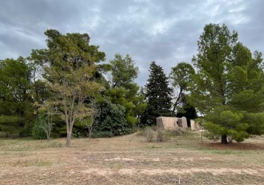 FINCA DE 10 HECTAREAS SIN PLANTACIONES