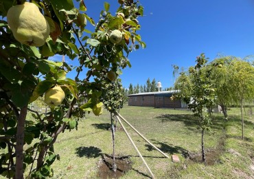 CASA CON TERRENO DE 900M²