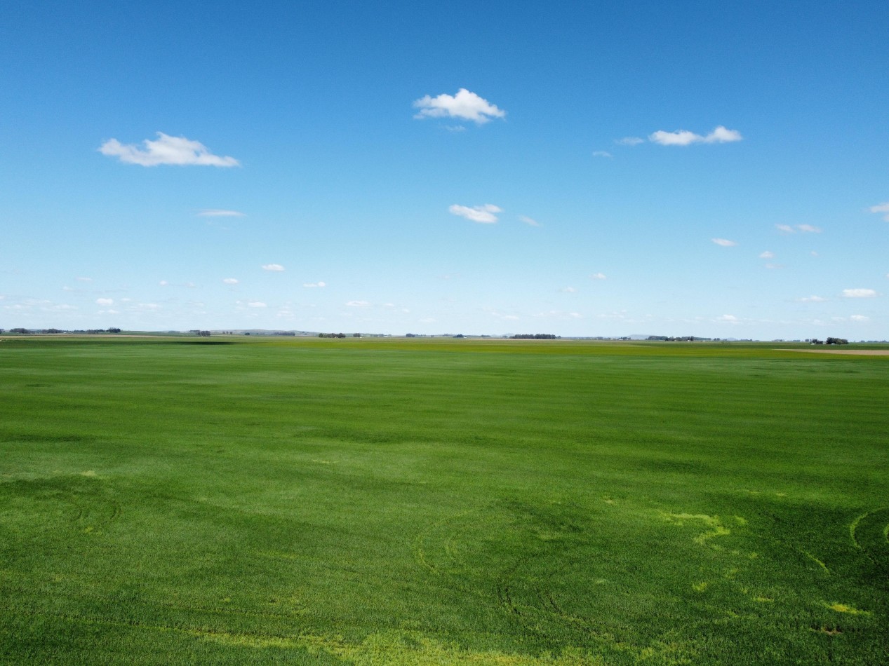 CAMPO LOBERIA  276 Ha 