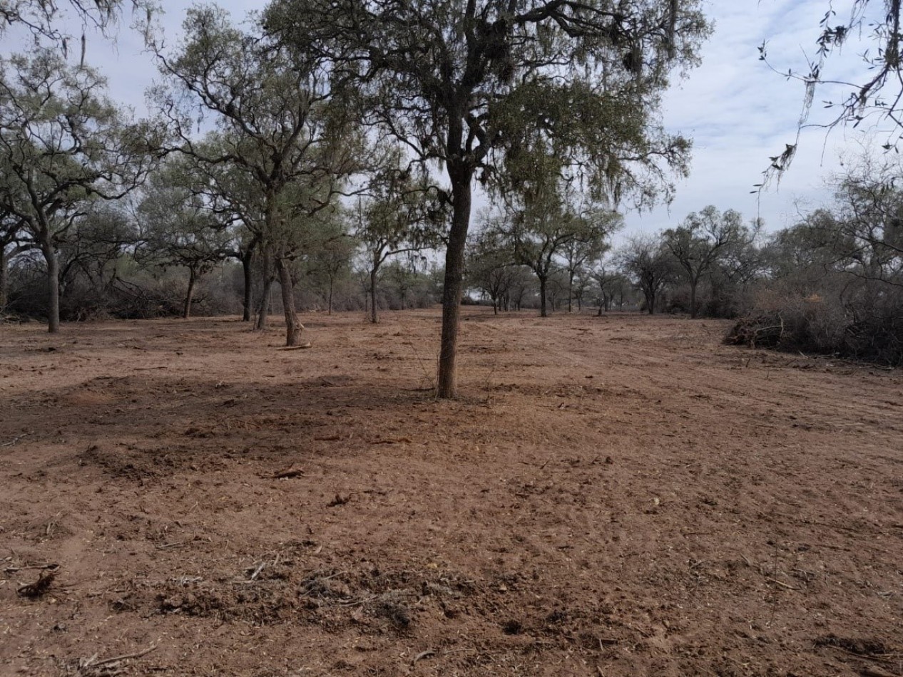 Venta de Fincas: El Yuchan y Finca Don Mingo - Rosario de la Frontera -  SALTA